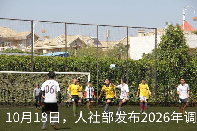 10月18日，人社部发布2026年调整退休人员养老金的通知文件了吗？